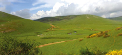 高原牧场