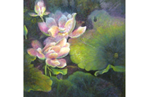绘画作品——映日荷花