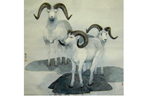 绘画作品——三羊开泰