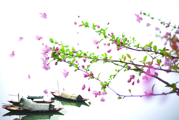 烟花三月