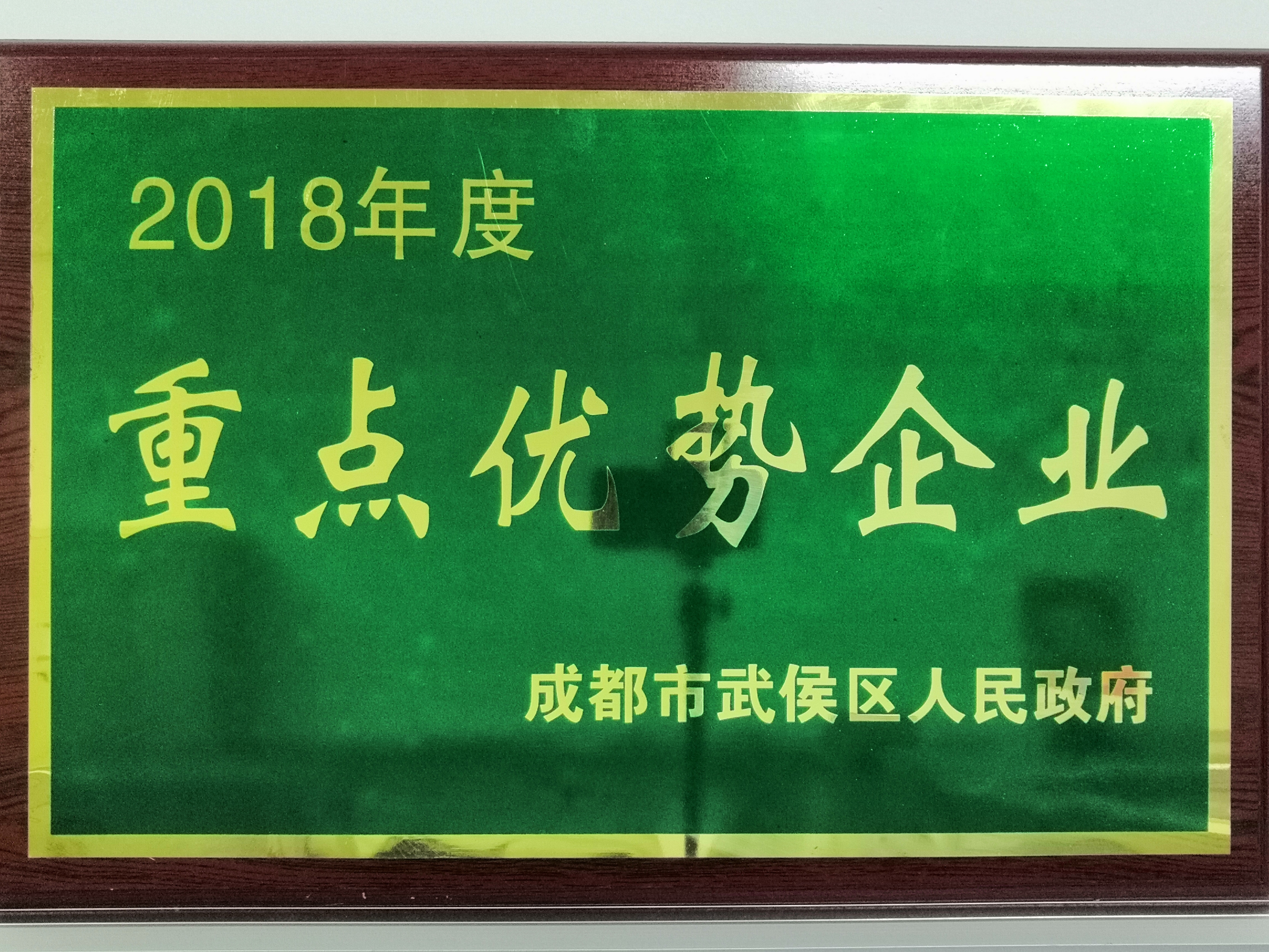 2018年重点优势企业