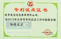 专利试点证书