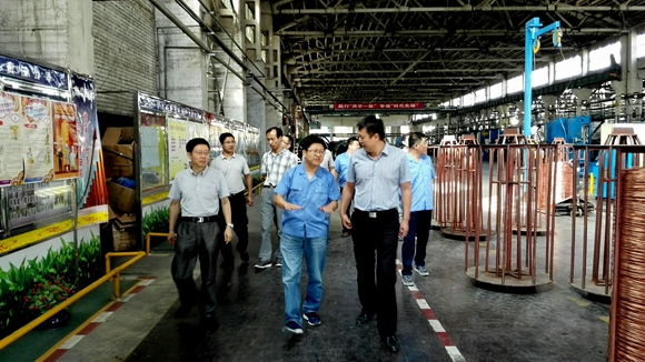 甘肃省政府研究室领导深入天缆公司调研