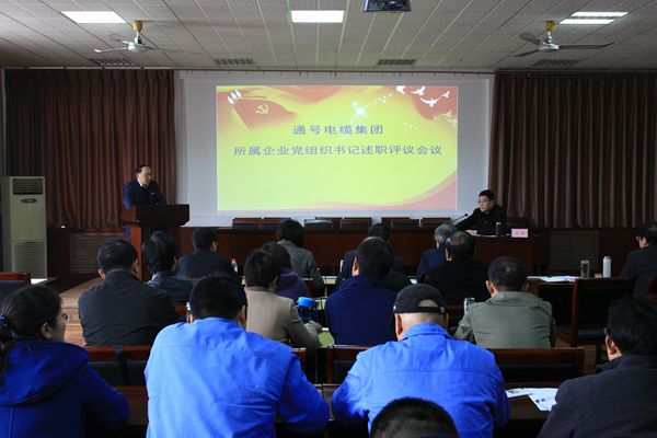电缆集团党委组织召开所属企业党组织书记述职评议会议