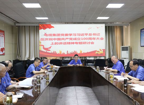 电缆集团党委组织召开学习习近平总书记在庆祝中国共产党100周年大会上的讲话精神专题研讨会