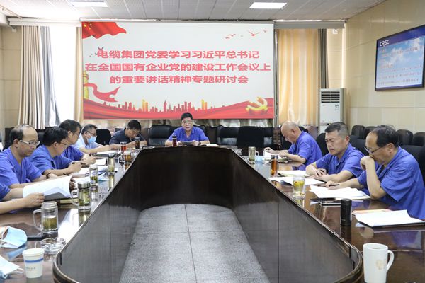 电缆集团党委组织召开学习习近平总书记在全国国有企业党的建设工作会议上的重要讲话精神专题研讨会