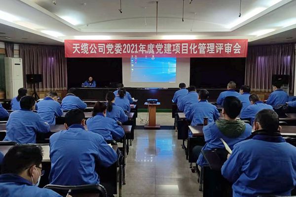 天缆公司党委召开2021年度党建项目化管理评审会