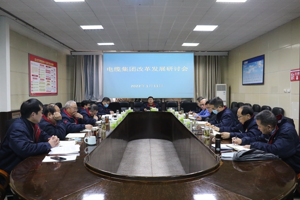 电缆集团组织召开企业改革发展研讨会