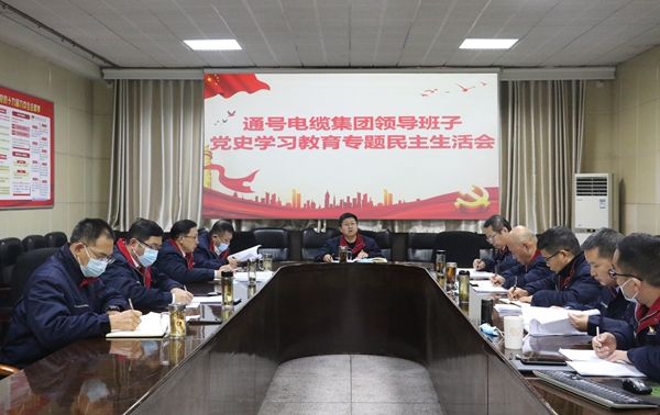 通号电缆集团组织召开领导班子党史学习教育专题民主生活会