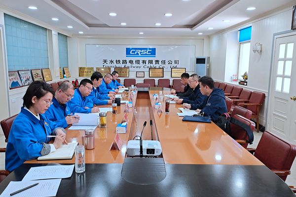 天缆公司组织召开2022年度党员领导干部民主生活会