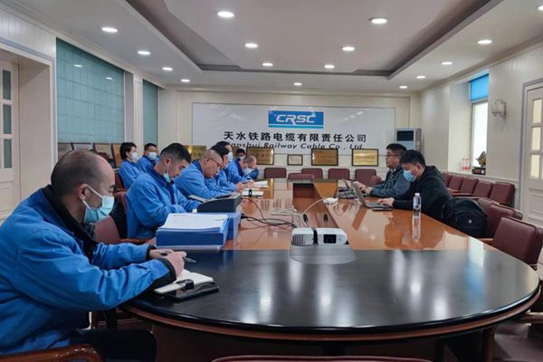 天缆公司顺利完成IRIS年度监督审核
