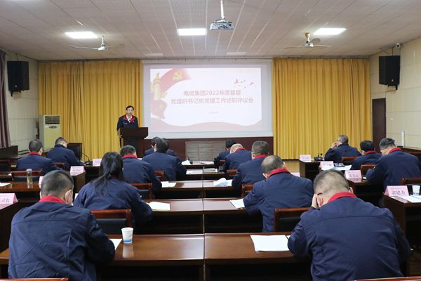 述职评议交答卷 笃行实干启新程 