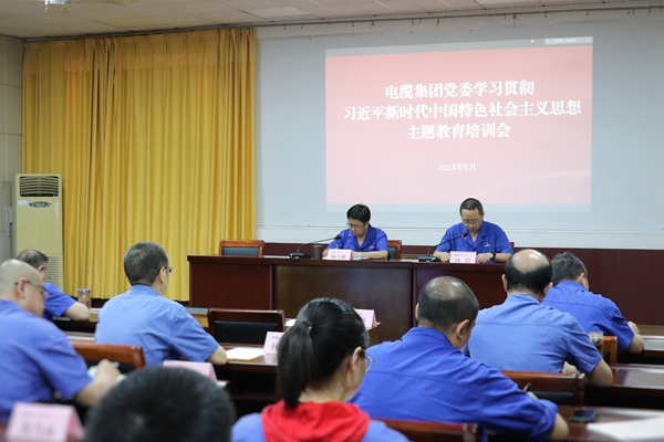 通号电缆集团党委召开学习贯彻习近平新时代中国特色社会主义思想主题教育培训会 