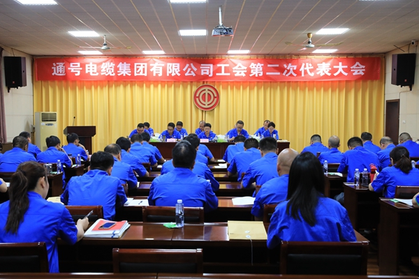 通号电缆集团有限公司工会第二次代表大会胜利召开 