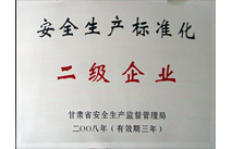 安全生产标准化二级企业证书