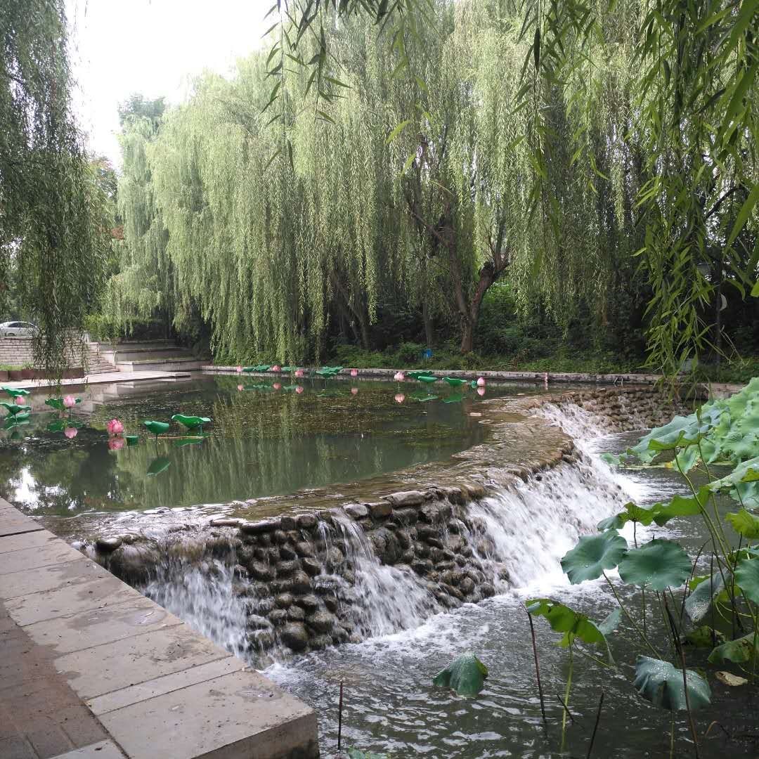 生态补水为鹤壁城区水系“解渴”