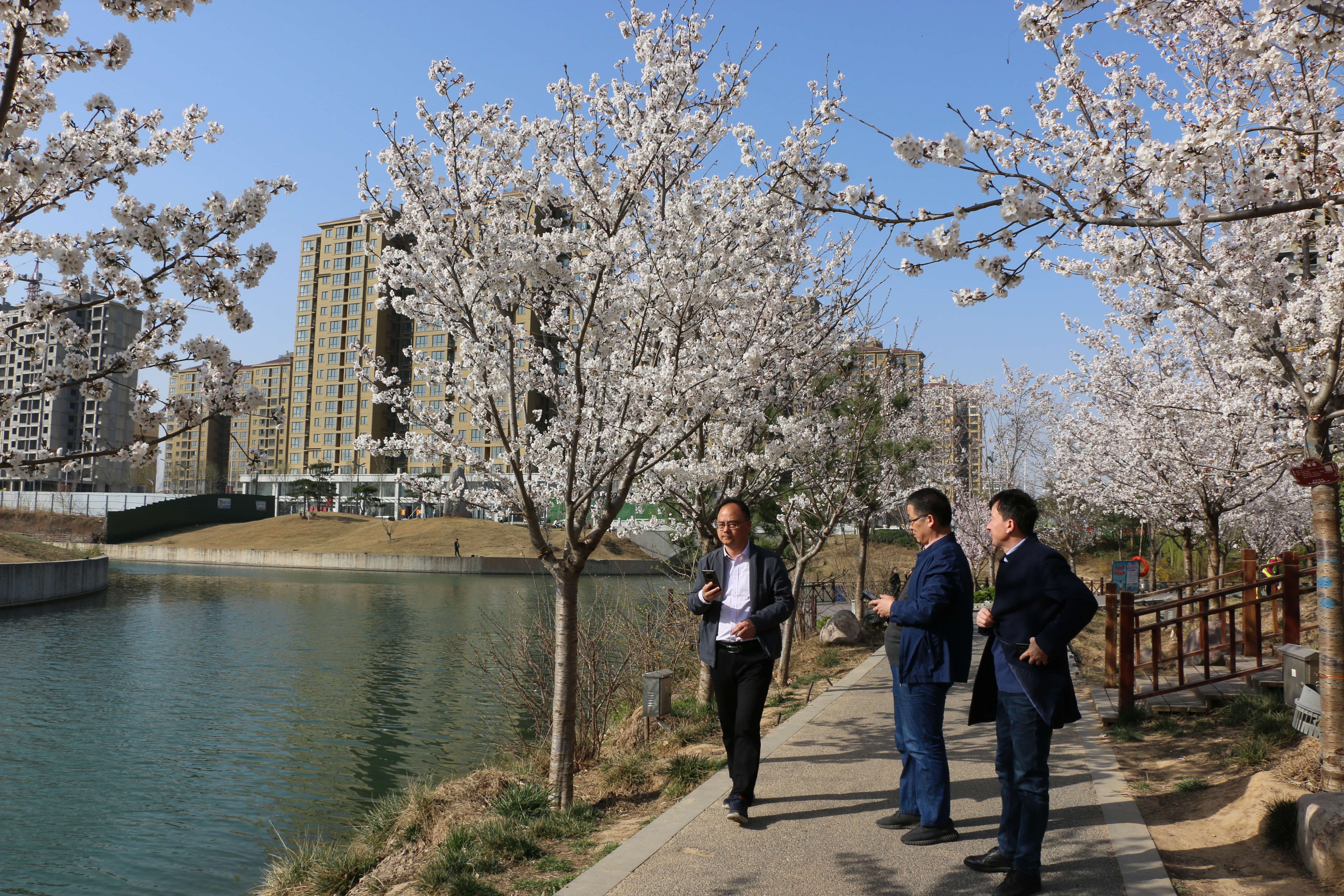 鹤壁市住建局副局长刘尚海带队到水系项目检查指导工作