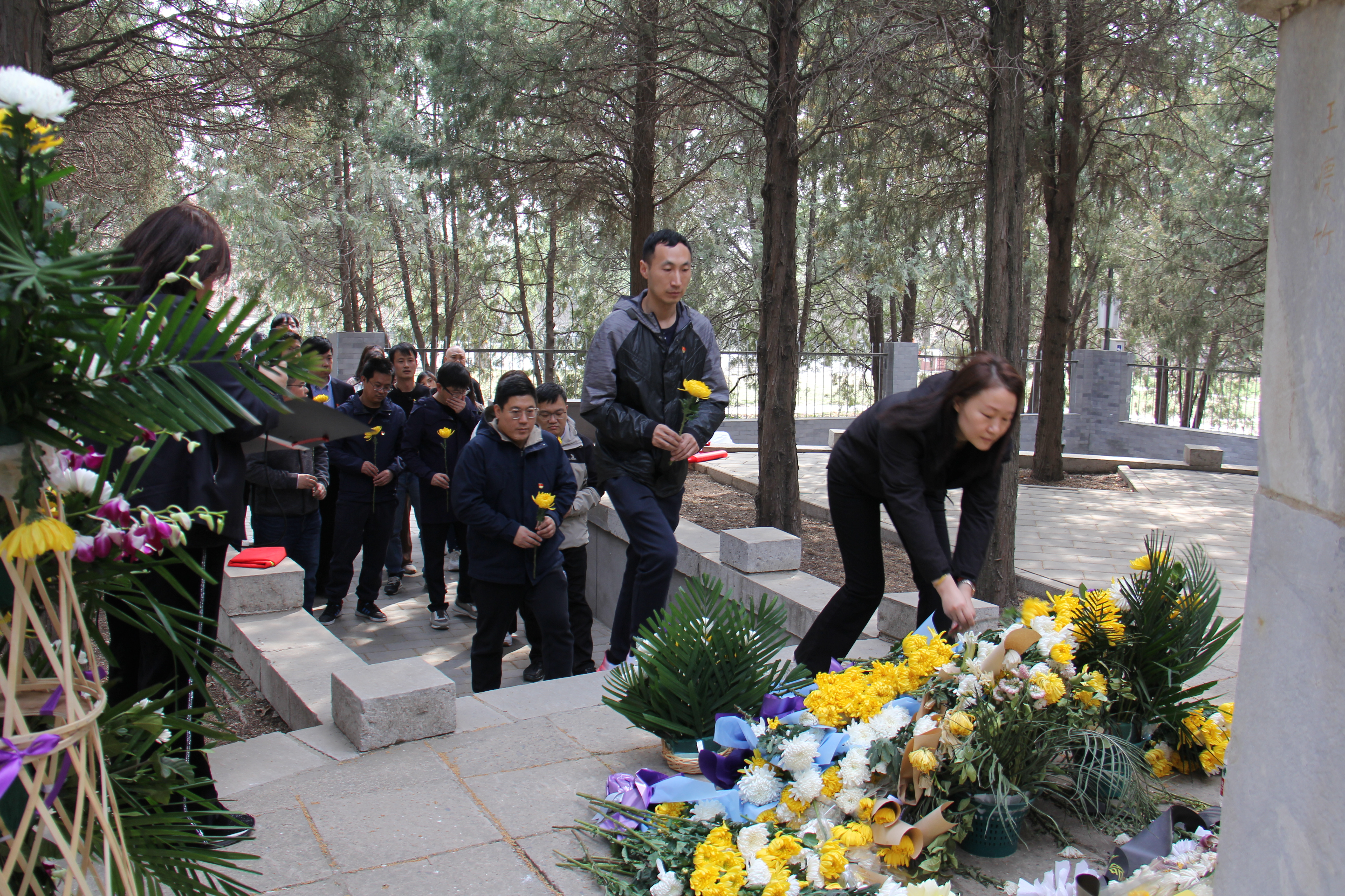 清明祭英烈|缅怀革命先烈   传承红色基因