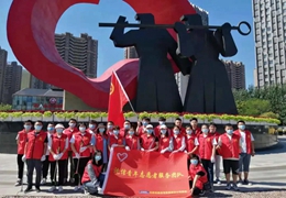 公司共青团开展清洁沈阳盛京使者在行动志愿服务