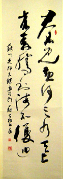 20077419848792